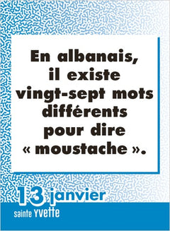 Le Petit 365 Savoirs inutiles