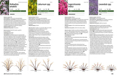 La taille raisonnée des arbustes