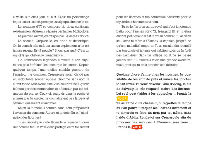 DEVIENS LE HEROS - LE MAITRE DES LICORNES