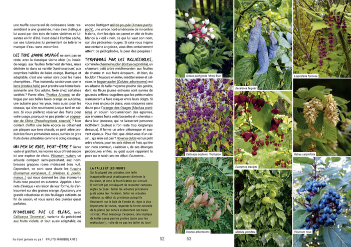 Les 400 plantes que vous ne verrez pas dans le jardin de votre voisin