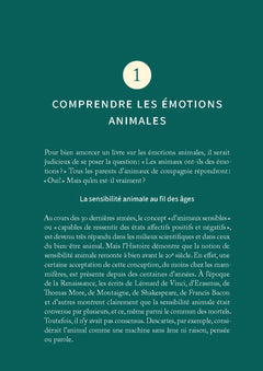 Mon animal est-il jaloux ? - Comprendre les émotions canines et félines