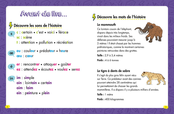 Les héros du CE1 - Une rencontre préhistorique