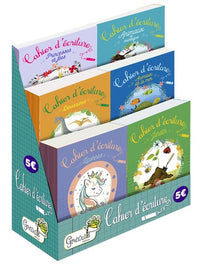 Boite de 60 exemplaires de cahiers d'ecriture