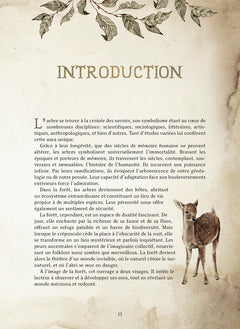 Le Forestarium - Mythes, légendes et explorations au coeur de la forêt