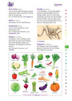 Dictionnaire Le Robert Benjamin