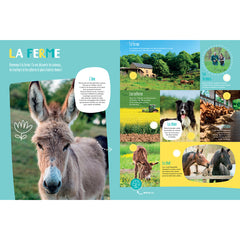 Mon grand livre sonore - La Ferme