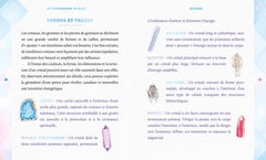 Initiation aux cristaux, fées, chiromancie, tarots et zodiaque