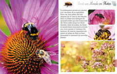 Les insectes