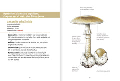 Les petits livres de la nature - Champignons des forêts