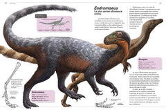 Dinosaures - Apparition, rayonnement, extinction