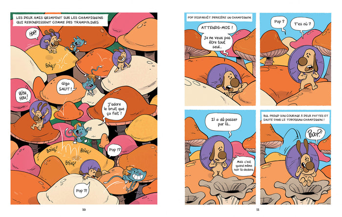 Le mystère du Chamoir