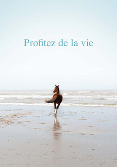L'ame delivree