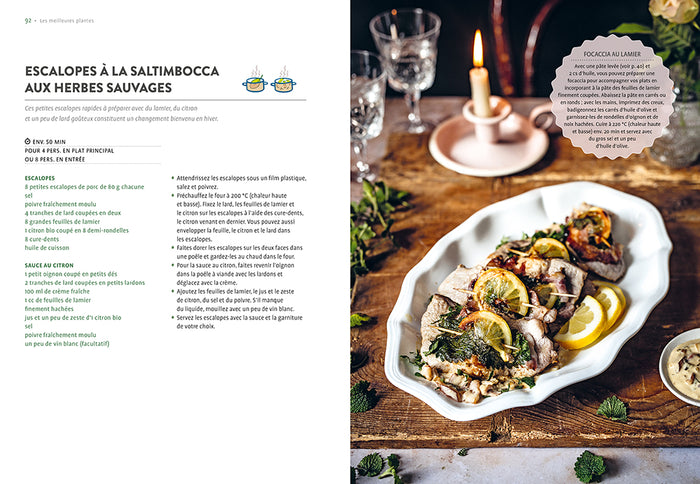 Plantes sauvages comestibles en automne et en hiver