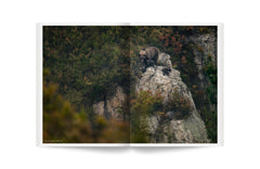 Album 82- 100 photos de Vincent Munier pour la liberté de la presse - 82