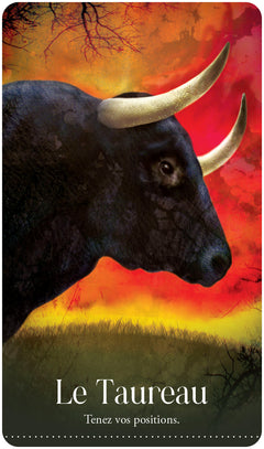 L'oracle des animaux rêvés - Libérez votre nature sauvage !