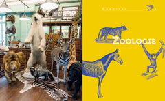 Leçons de choses & autres curiosités naturelles