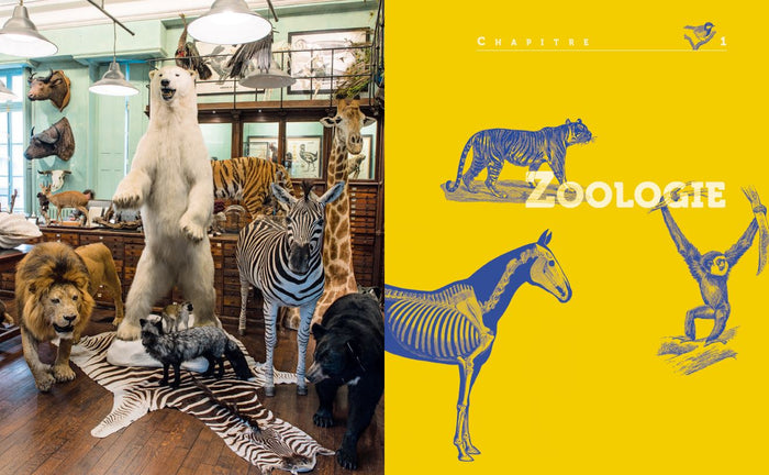 Leçons de choses & autres curiosités naturelles