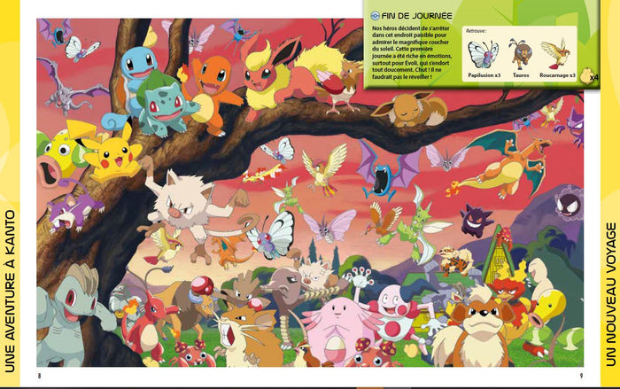 Pokémon - L'intégrale des neuf régions