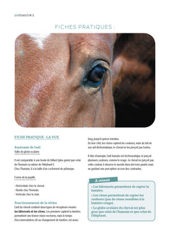 Guide d'équitation éthologique - Les savoirs 1 et 2 décryptés avec exercices détaillés