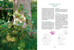 Cuisiner les plantes sauvages du jardin