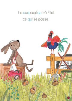 Panique à la ferme !