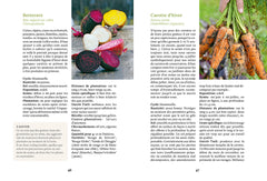 Produire des légumes en hiver - même sans abri