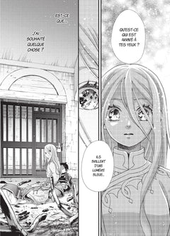 Nina du Royaume aux étoiles - Tome 11