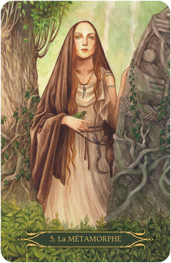 Coffret Sagesse de Sorcières - Oracle