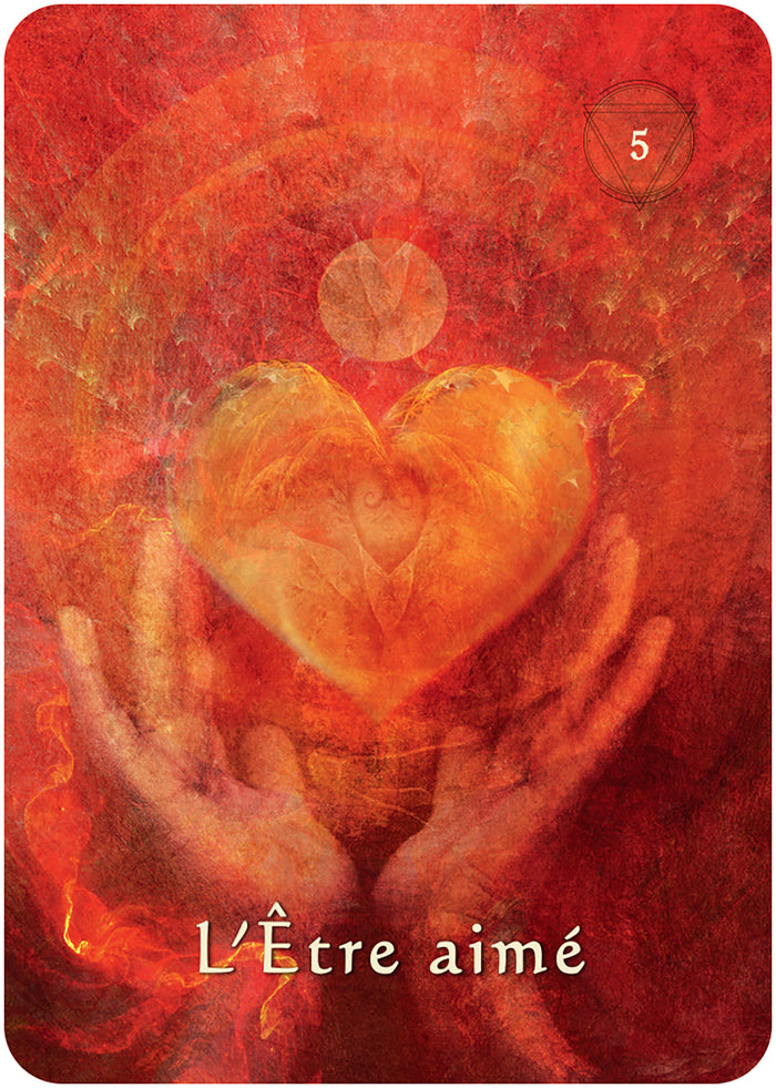 L'oracle pocket du chaman mystique