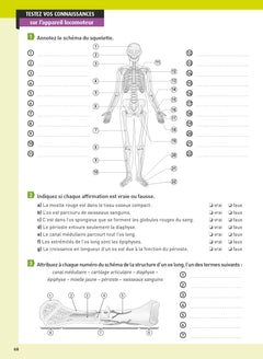 Guide d'anatomie et de physiologie