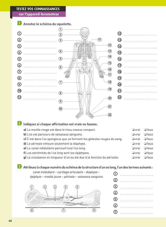 Guide d'anatomie et de physiologie