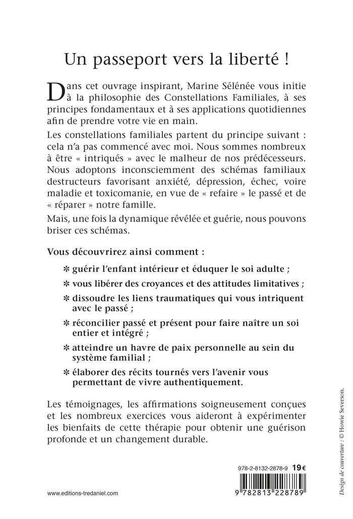 La thérapie des constellations familiales