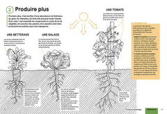Produire des légumes en abondance - Naturellement sans engrais ni pesticides, récolter toute l'année sur une petite surface, choisir des variétés productives