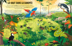 Voyage au coeur de l'Amazonie - Découvrons ensemble - Dès 6 ans