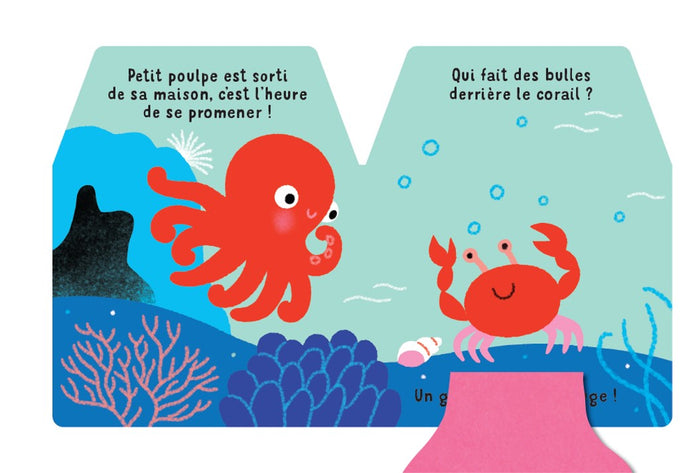 Cache-cache petit poulpe