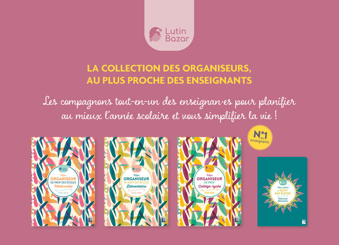 Mon année de prof d'élémentaire avec Lutin Bazar