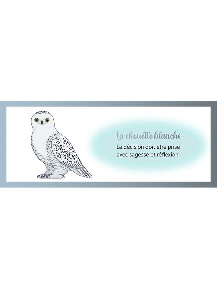 Le petit oracle Messager