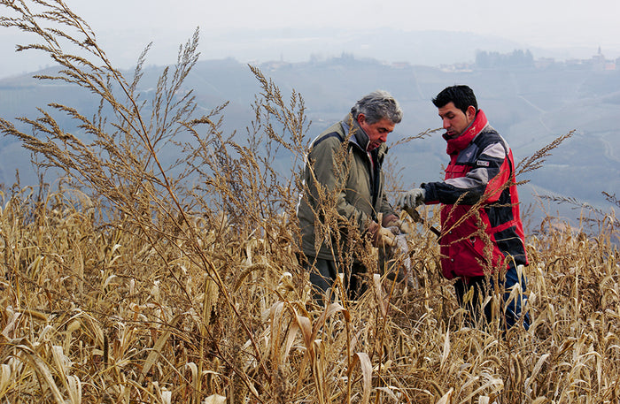Prendre soin de son sol - Mieux le comprendre, le fertiliser et favoriser la vie