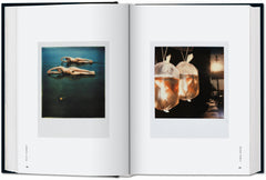 The Polaroid Book