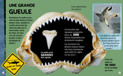 Requin - Construis ton requin géant en 3D