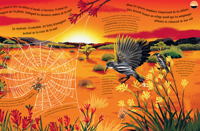 24 heures sur la Terre