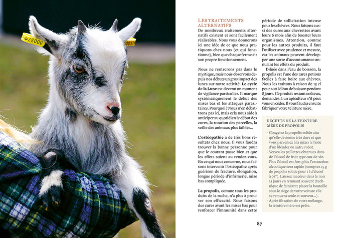 Élever des chèvres et faire son fromage