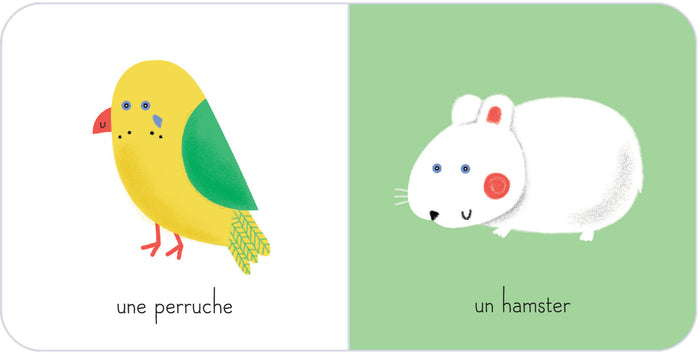 Ma boîte à trésors - Les animaux