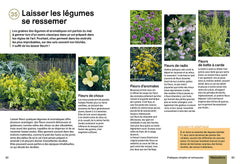 Cultiver sans bêcher - Techniques alternatives - Végétation couvre-sol - Respecter la terre