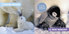 Mon premier doc photo - Bébés animaux
