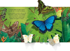 Les papillons - Mon livre pop-up