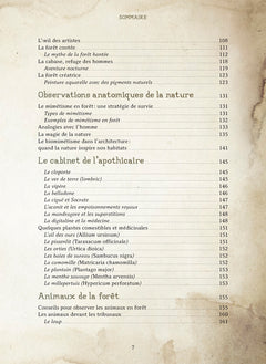 Le Forestarium - Mythes, légendes et explorations au coeur de la forêt