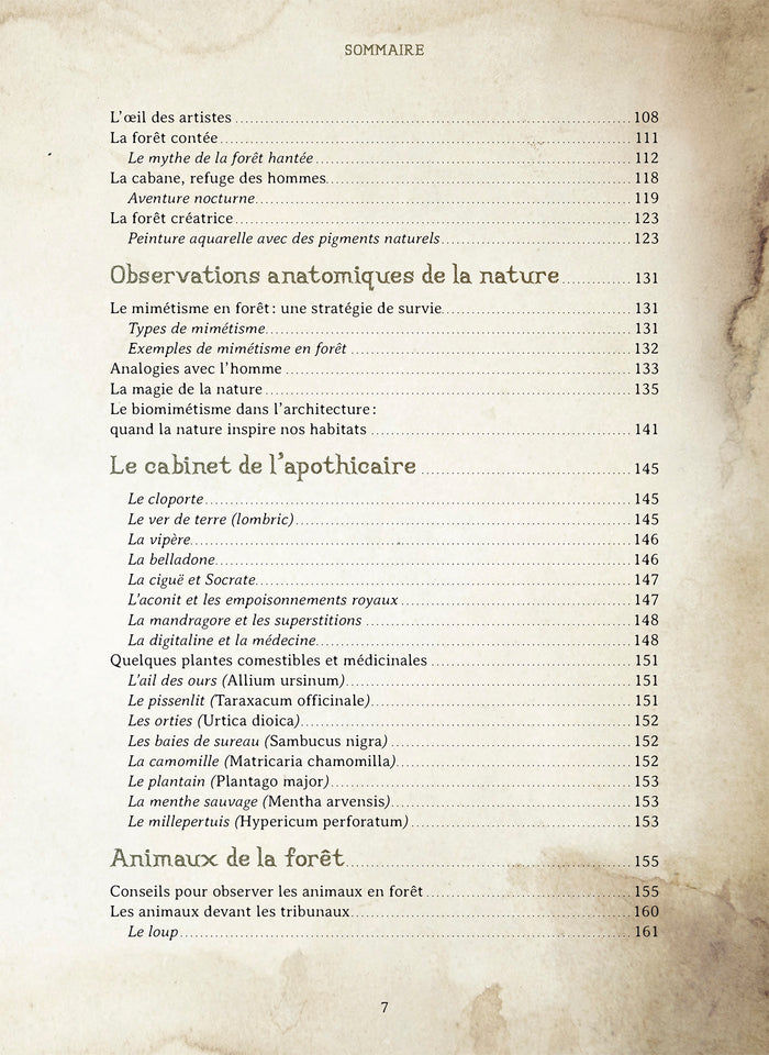 Le Forestarium - Mythes, légendes et explorations au coeur de la forêt