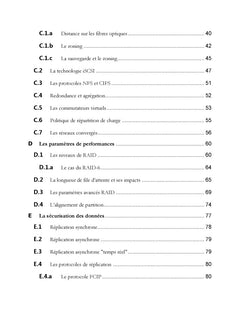 BONNES PRATIQUES, PLANIFICATION ET DIMENSIONNEMENT DES INFRASTRUCTURES DE STOCKAGE ET DE SERVEUR EN ENVIRONNEMENT VIRTUEL