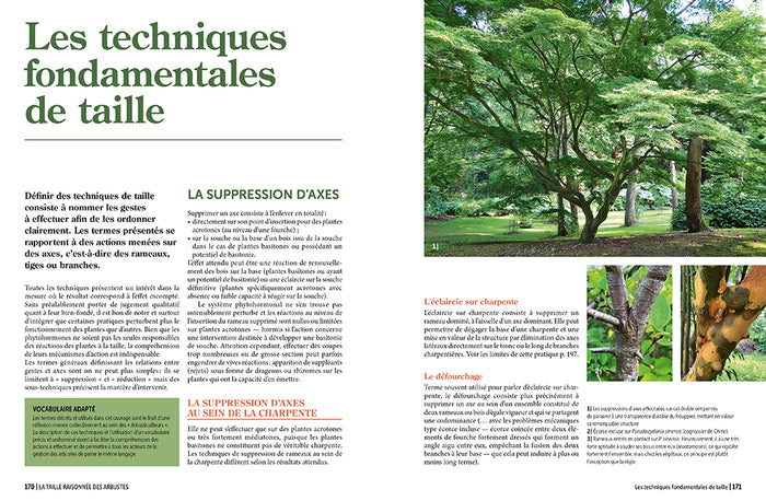 La taille raisonnée des arbustes